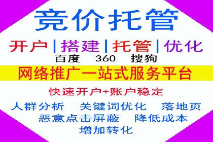案例展示：托管竞价SEM助力企业实现业绩增长